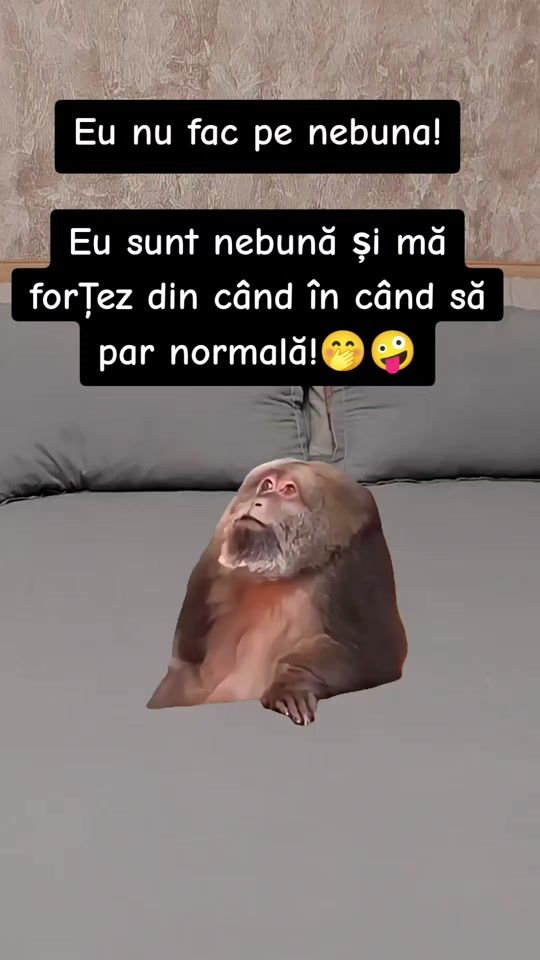 TikTok video thumbnail by elen.20.2