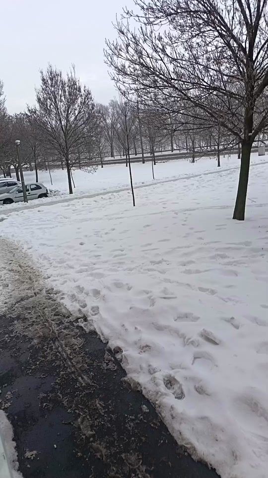 TikTok video thumbnail by attila900802