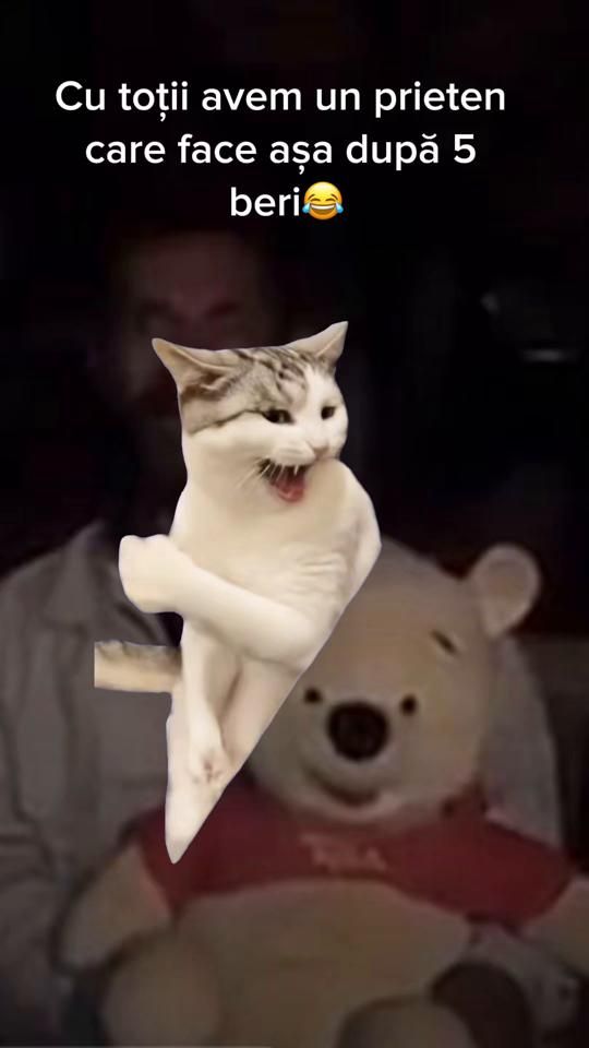 TikTok video thumbnail by alin_u_cluj_1919