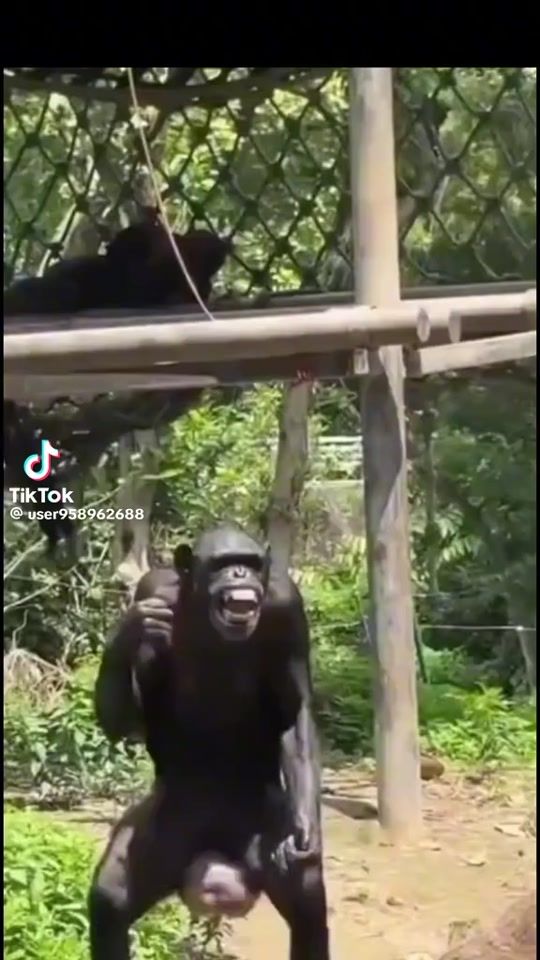 TikTok video thumbnail by koulliss0