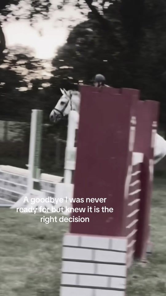 TikTok video thumbnail by leni_hansen_
