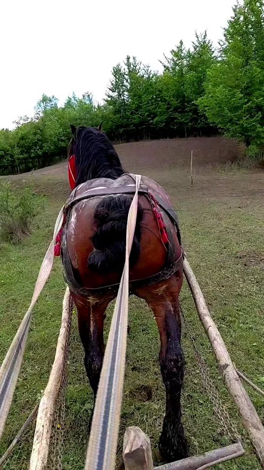 TikTok video thumbnail by florincojocaru21
