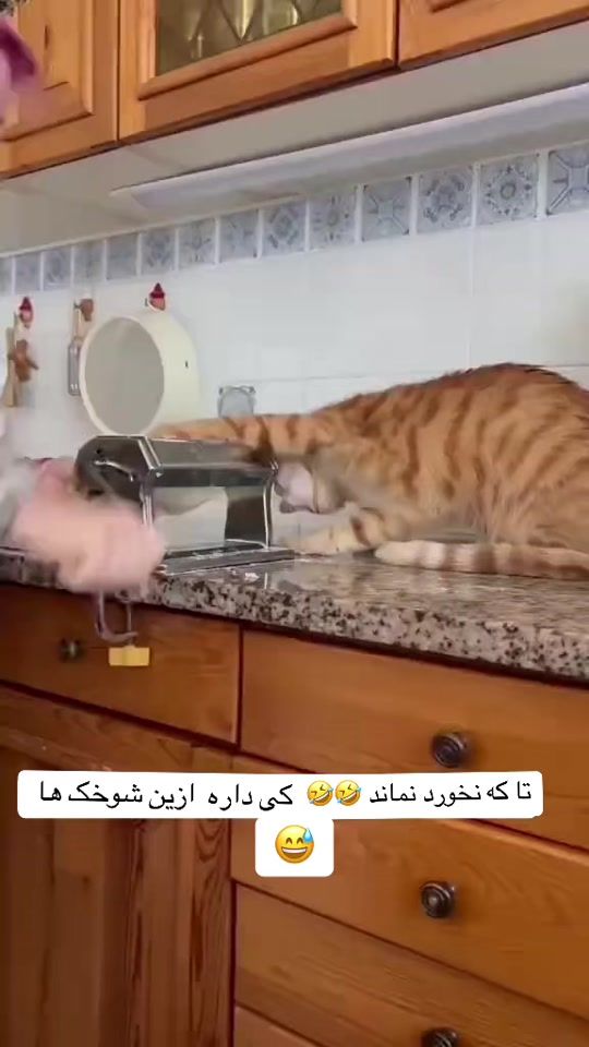 TikTok video thumbnail by maria.n699