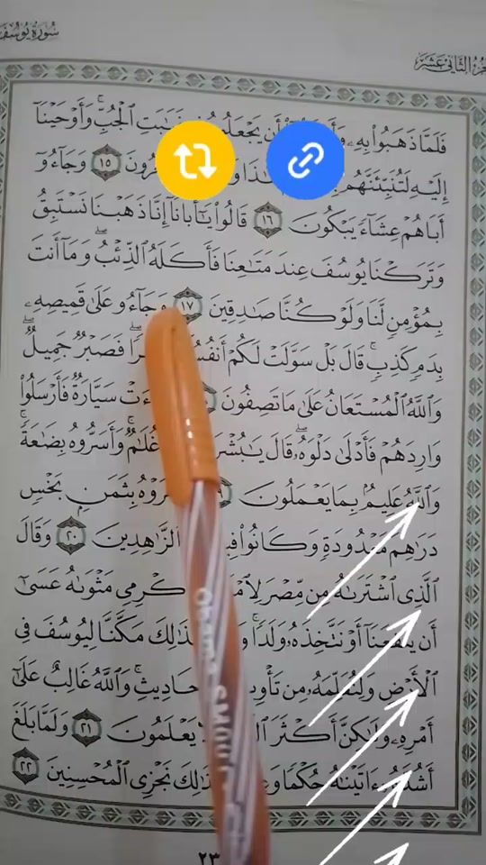 TikTok video thumbnail by mjsalafi1