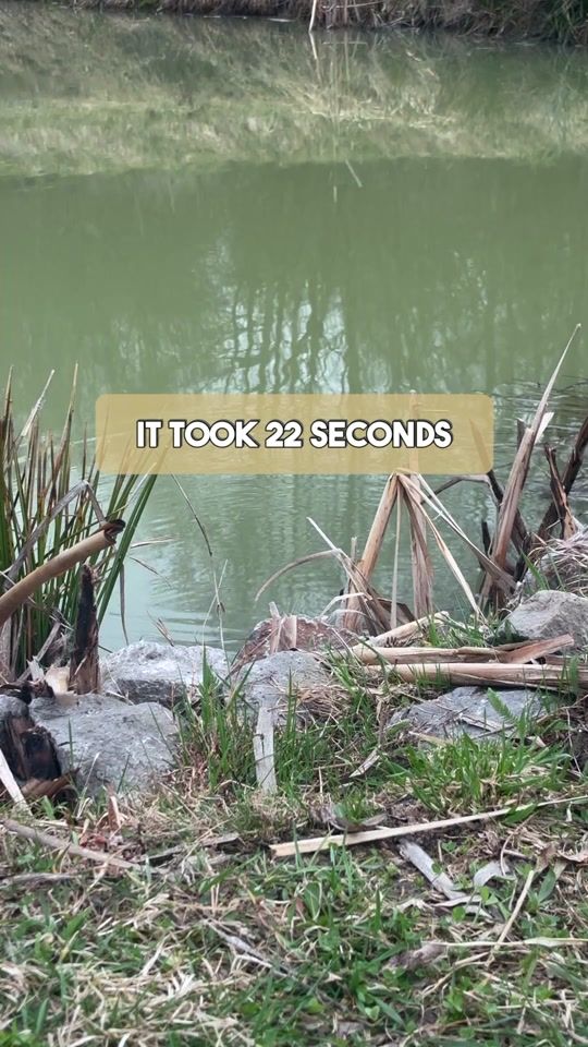 TikTok video thumbnail by theamateurfishing