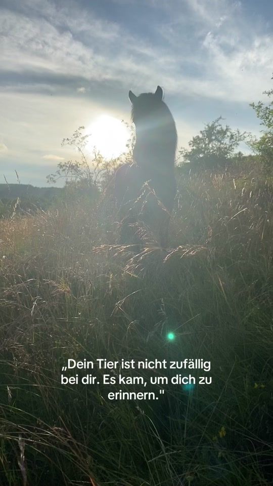 TikTok video thumbnail by eifelelli
