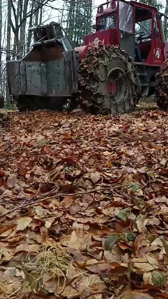 TikTok video thumbnail by petre_81