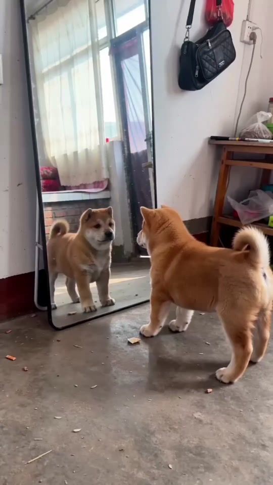 TikTok video thumbnail by glowmart.couk