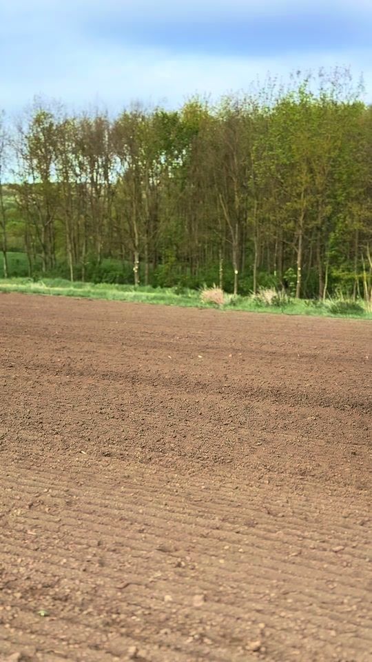 TikTok video thumbnail by bence_agro