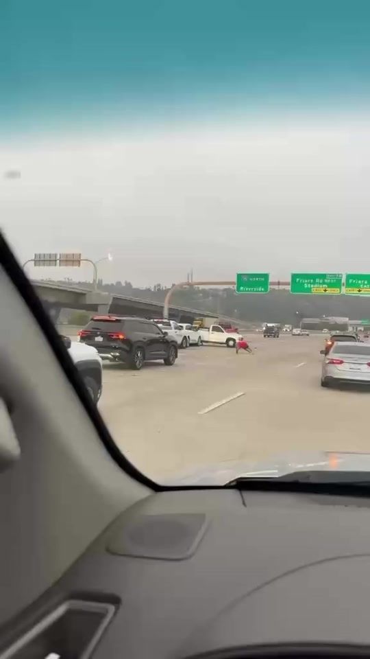 TikTok video thumbnail by flavor_move
