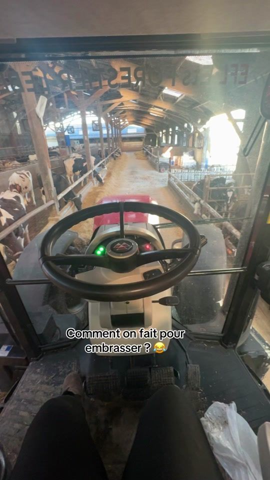 TikTok video thumbnail by leane_qllt80