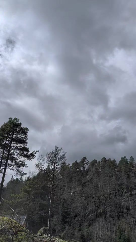 TikTok video thumbnail by frisbeebjorn