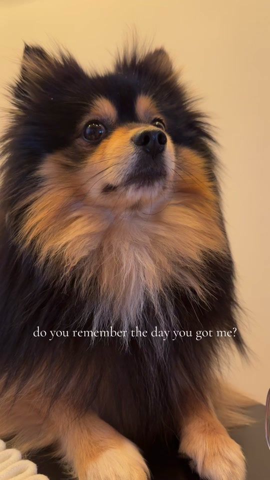 TikTok video thumbnail by eli_moravec