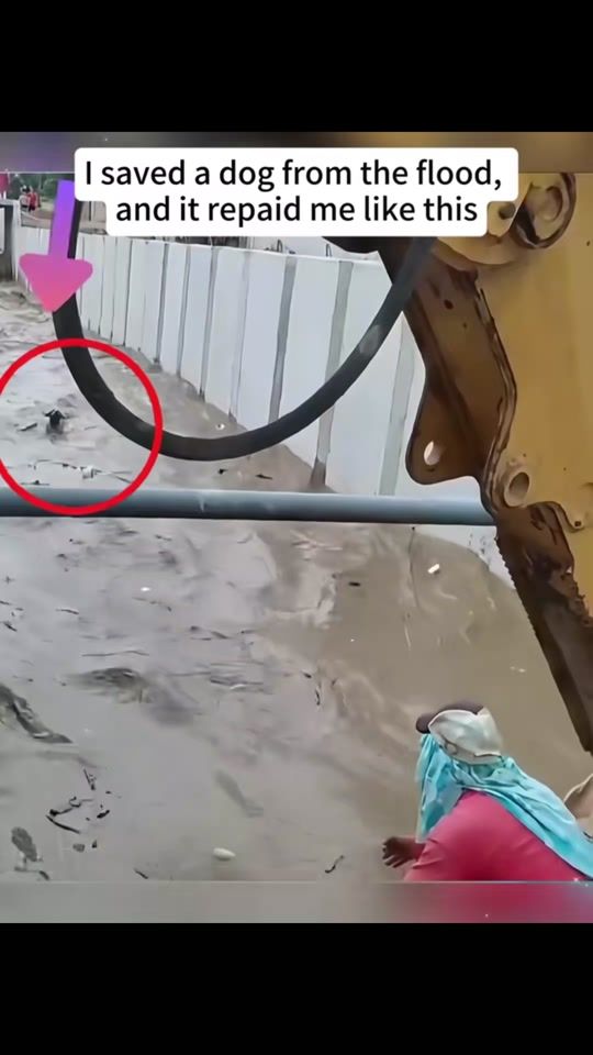 TikTok video thumbnail by sami_19930
