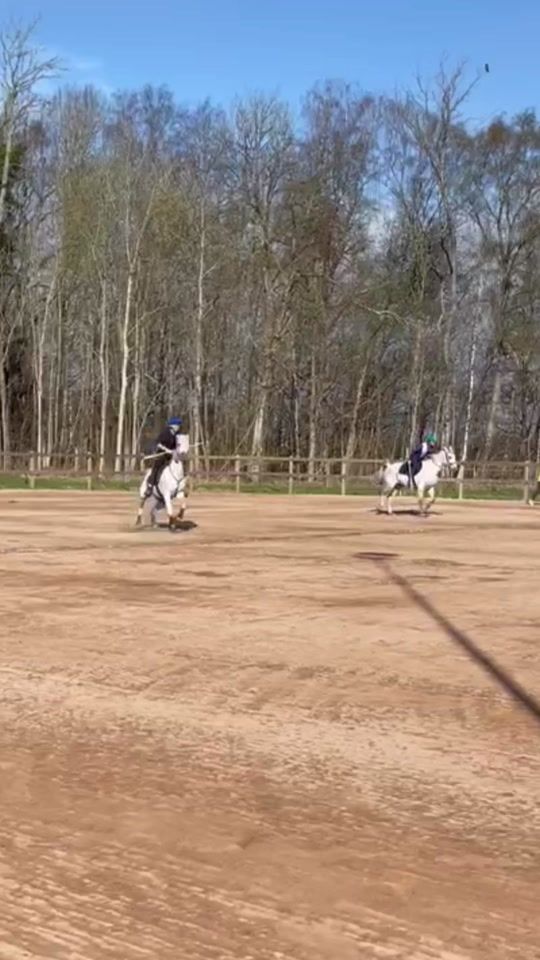 TikTok video thumbnail by mountedgamesdanma