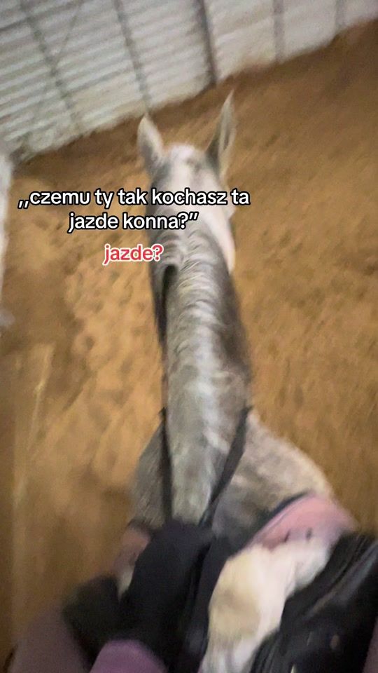 TikTok video thumbnail by 0only.equestrian