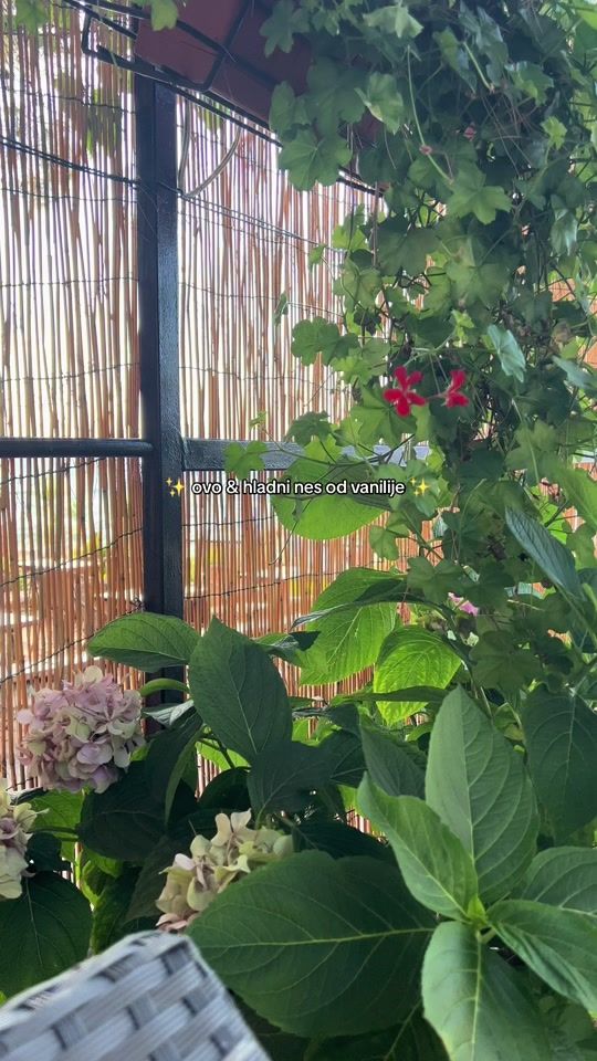 TikTok video thumbnail by preccccca