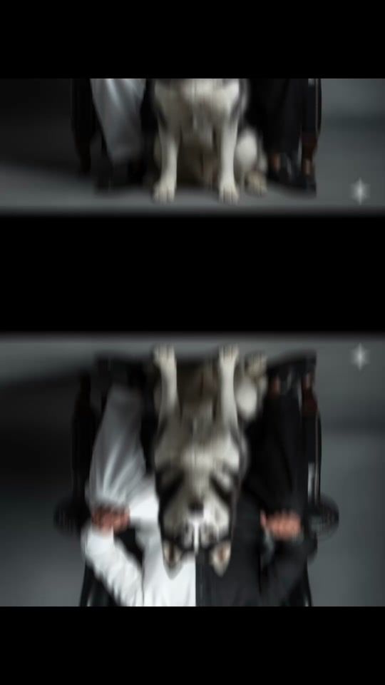 TikTok video thumbnail by ai.video.creator57