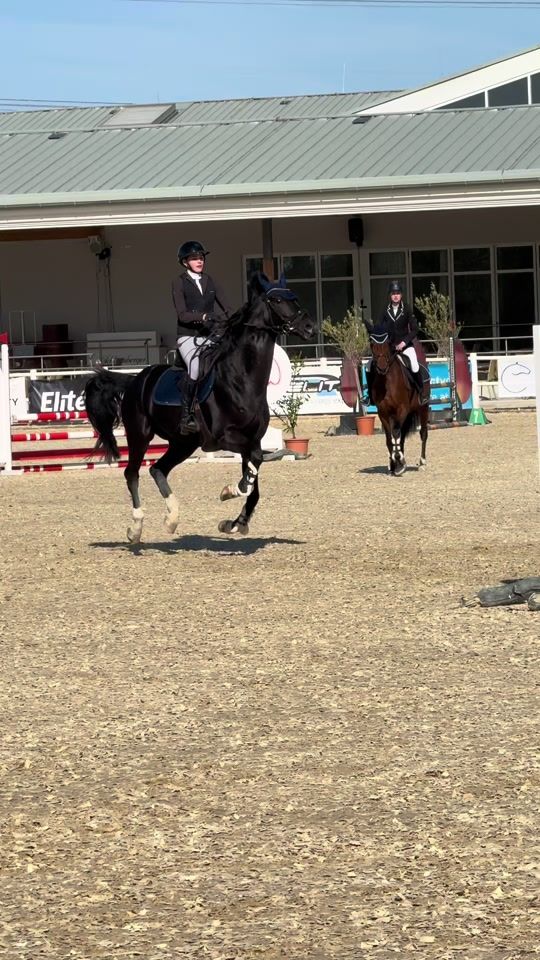 TikTok video thumbnail by alina.smt