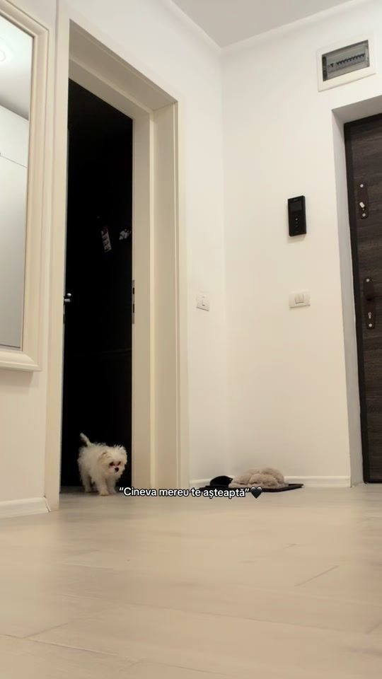 TikTok video thumbnail by criss_tinaaaa
