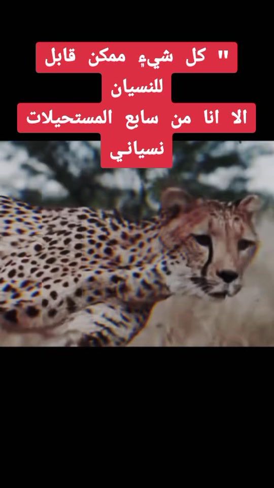 TikTok video thumbnail by abdoarabaaaaa19951995