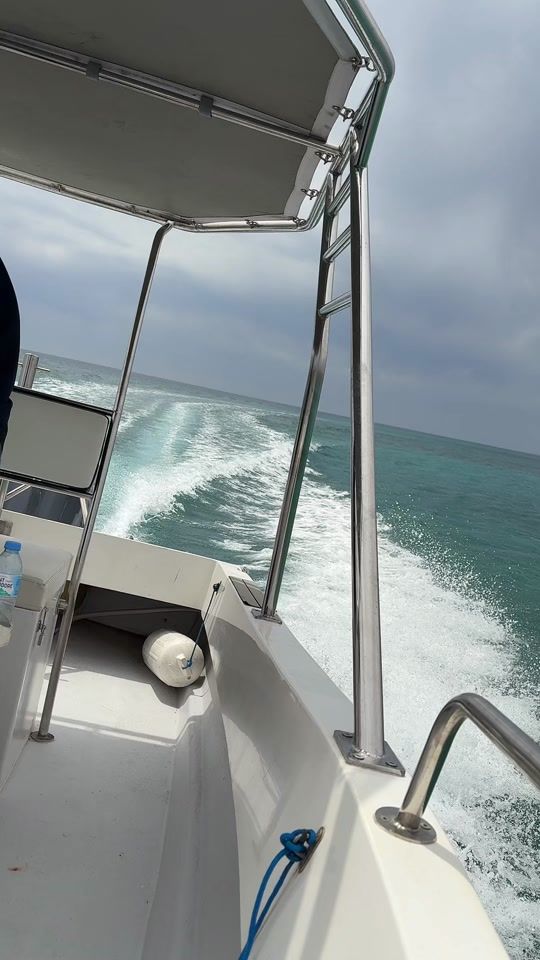 TikTok video thumbnail by dina.ilku