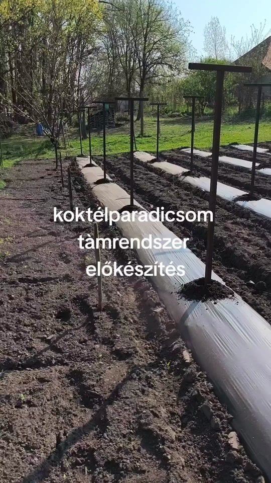TikTok video thumbnail by chillibaja