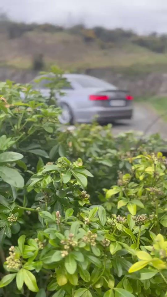 TikTok video thumbnail by aidan_142