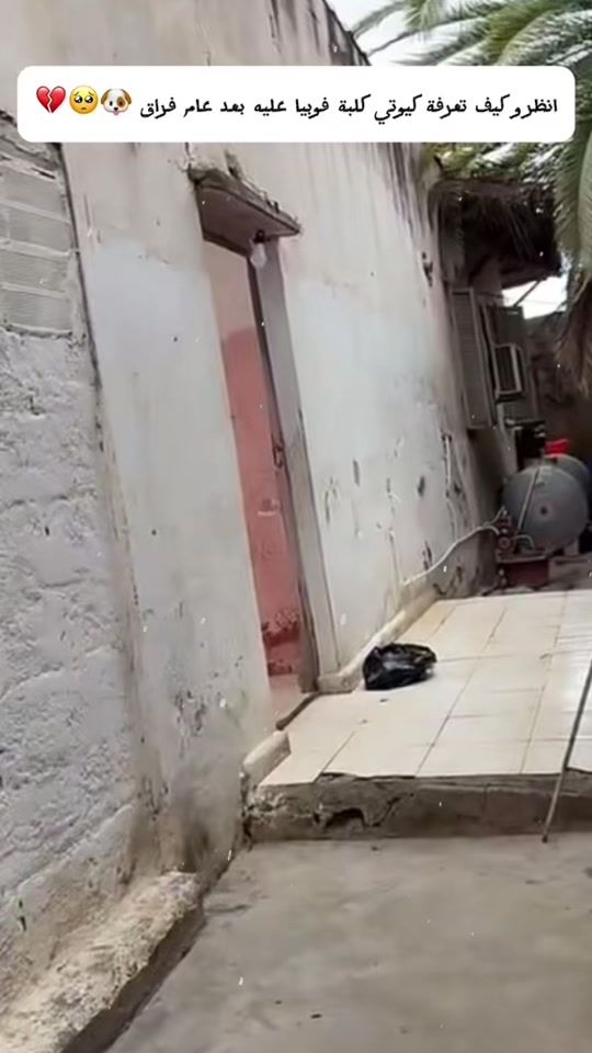 TikTok video thumbnail by khaled00763