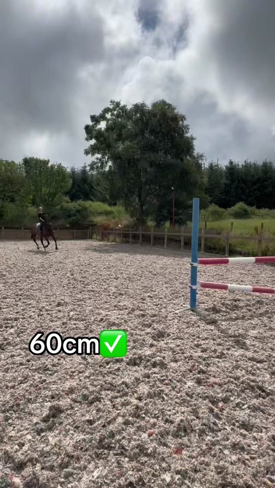 TikTok video thumbnail by moo24242