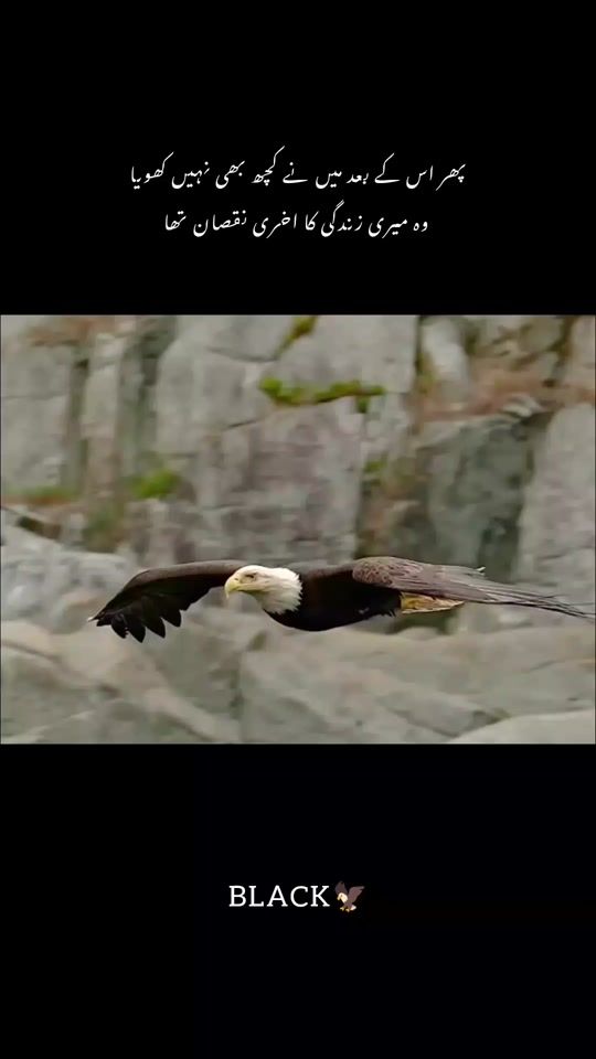 TikTok video thumbnail by iloveeagle945