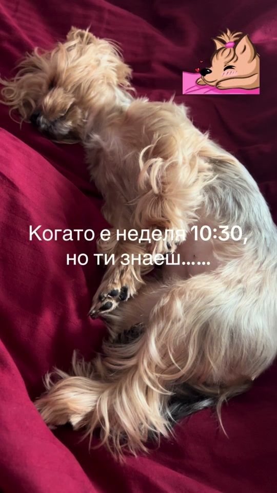 TikTok video thumbnail by dimitralex7