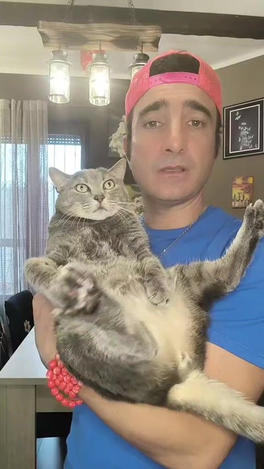 TikTok video thumbnail by __linuccio__