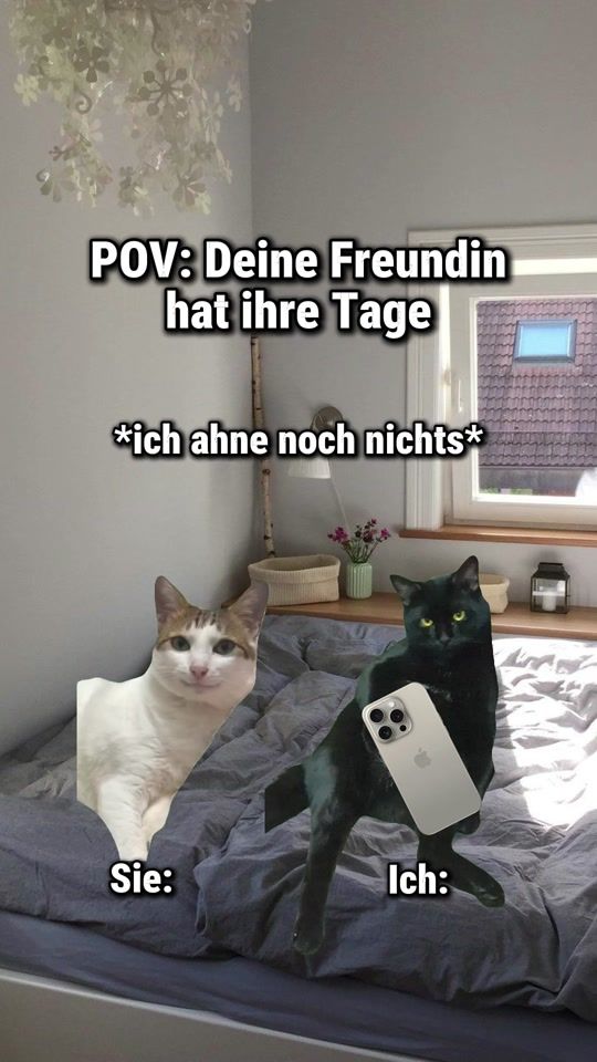 TikTok video thumbnail by katzenklub
