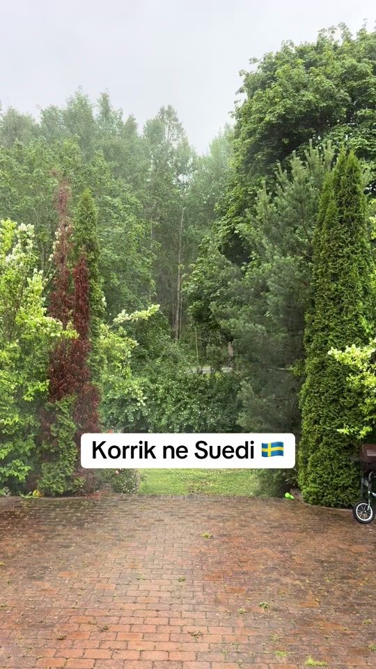 TikTok video thumbnail by ugc_by_jona