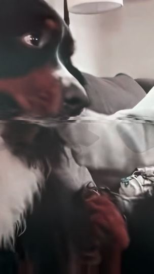 TikTok video thumbnail by rdrjm