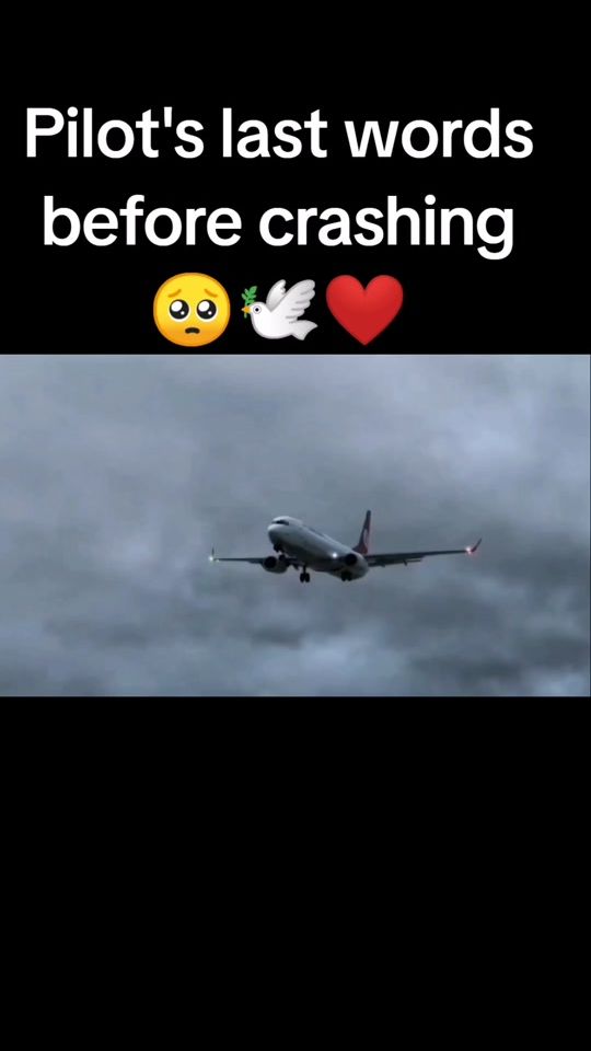 TikTok video thumbnail by pl4n3s_