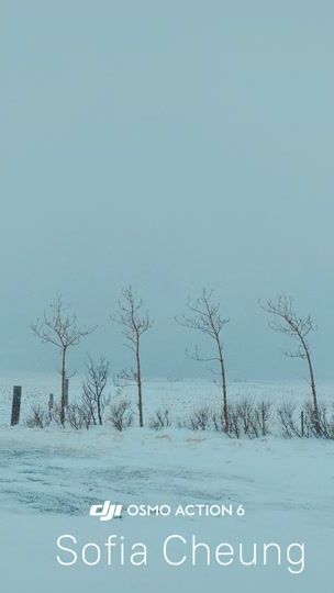 TikTok video thumbnail by sofia1029_iceland