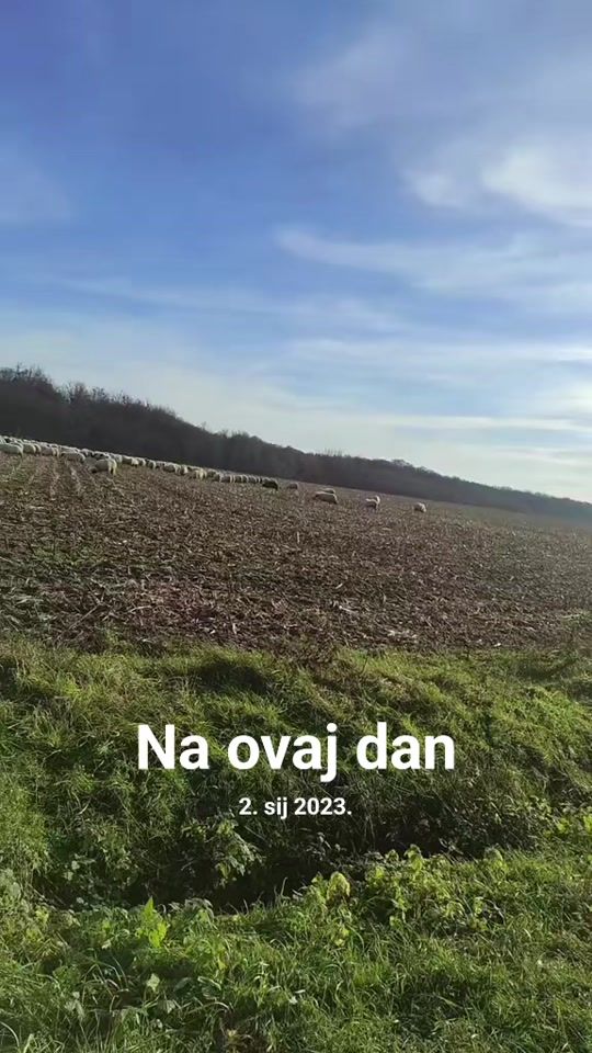 TikTok video thumbnail by opg_dotlo