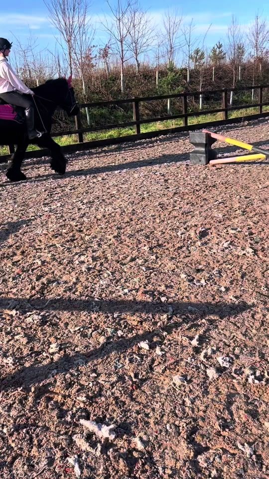 TikTok video thumbnail by equi.faithh