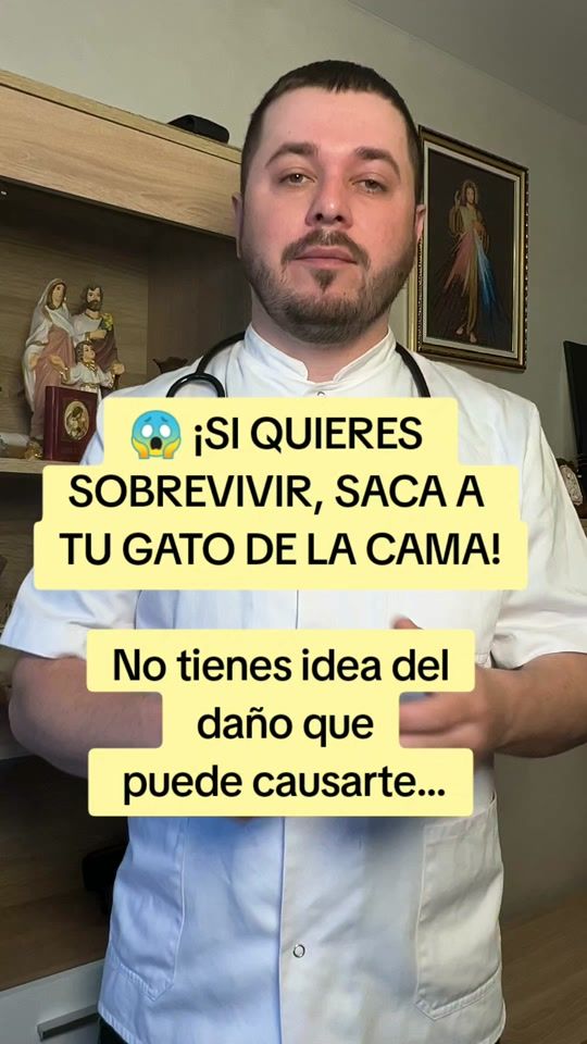 TikTok video thumbnail by doctoralannn
