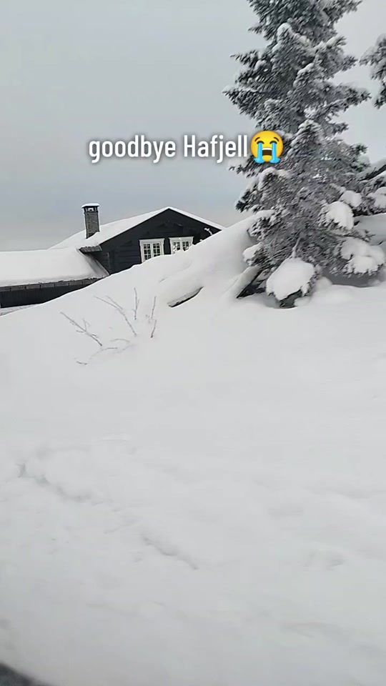 TikTok video thumbnail by big.mac69420