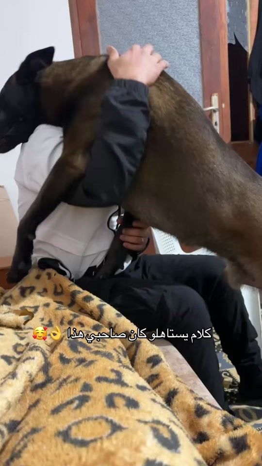 TikTok video thumbnail by pablo.kk9