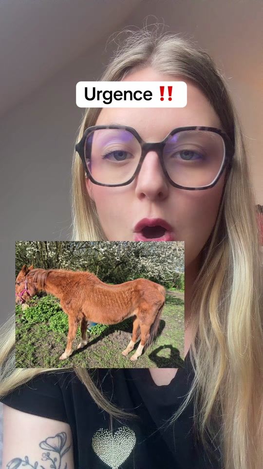TikTok video thumbnail by ameequestre