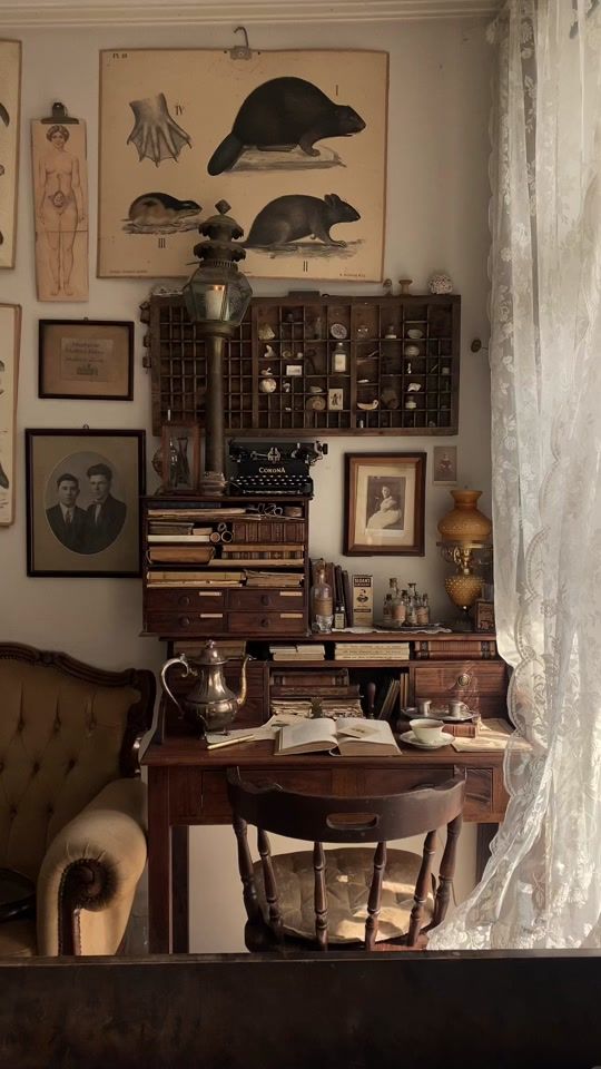 TikTok video thumbnail by antiquariant