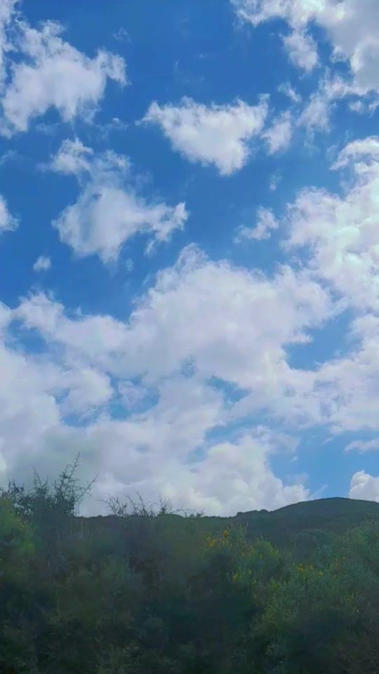 TikTok video thumbnail by billa.dellys1