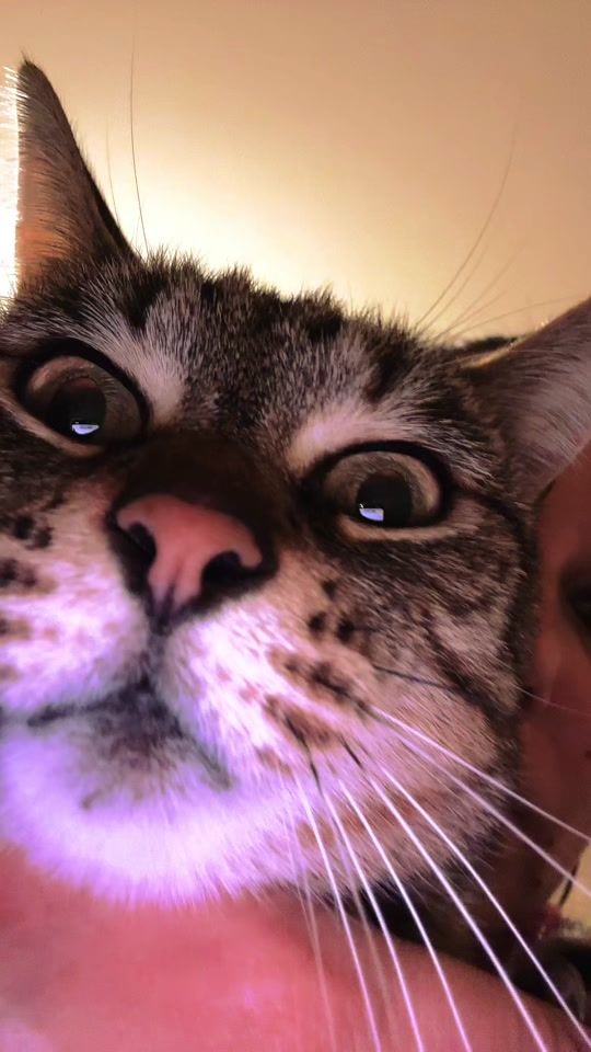 TikTok video thumbnail by elisaspada_