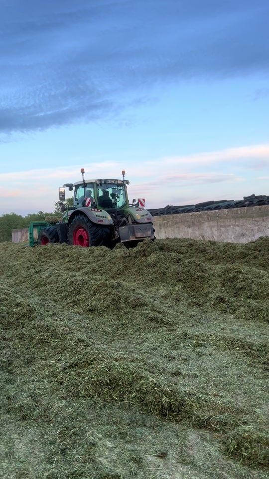 TikTok video thumbnail by mat_agri85