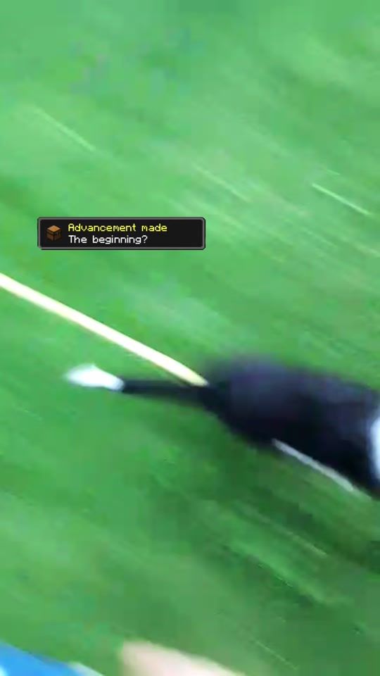TikTok video thumbnail by borderthing