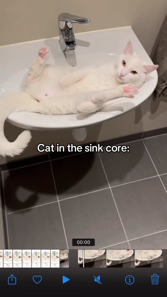 TikTok video thumbnail by catinthesink